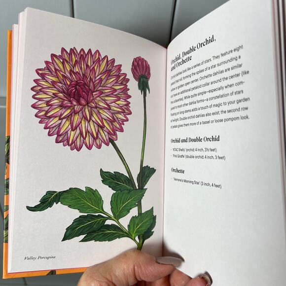 Dahlias‎ a Little Book of Flowers - Tara Austen Weaver - Picture 4 of 7